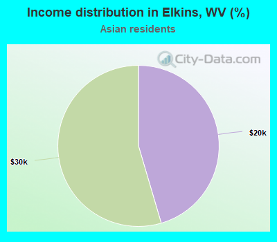 Income distribution in Elkins, WV (%)