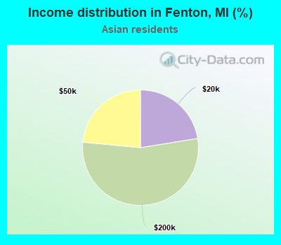 Income distribution in Fenton, MI (%)