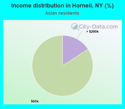 Income distribution in Hornell, NY (%)