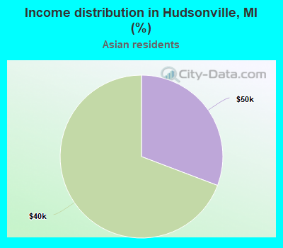 Income distribution in Hudsonville, MI (%)