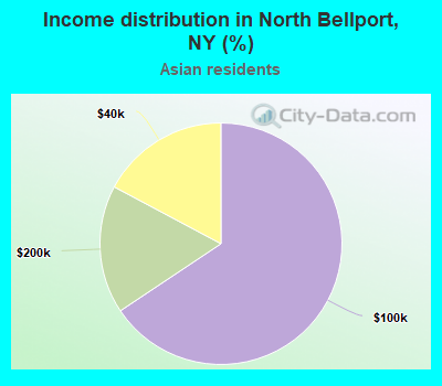 Income distribution in North Bellport, NY (%)