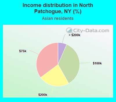 Income distribution in North Patchogue, NY (%)