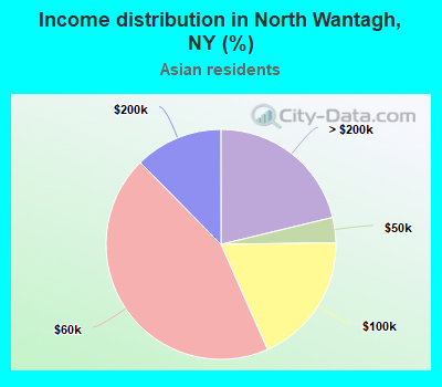 Income distribution in North Wantagh, NY (%)
