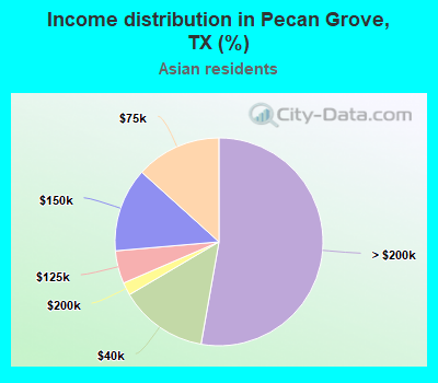 Income distribution in Pecan Grove, TX (%)