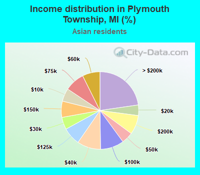 Income distribution in Plymouth Township, MI (%)