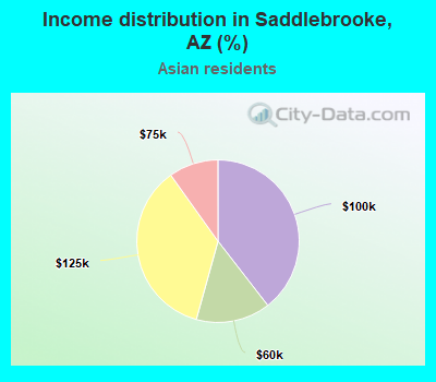 Income distribution in Saddlebrooke, AZ (%)