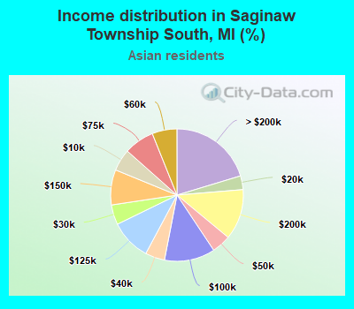 Income distribution in Saginaw Township South, MI (%)