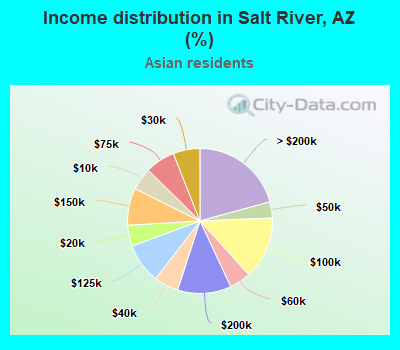Income distribution in Salt River, AZ (%)