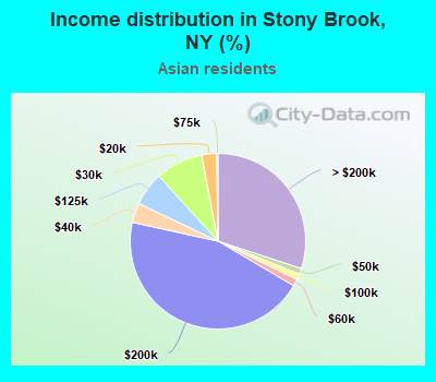 Income distribution in Stony Brook, NY (%)