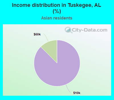 Income distribution in Tuskegee, AL (%)