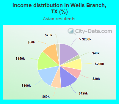 Income distribution in Wells Branch, TX (%)