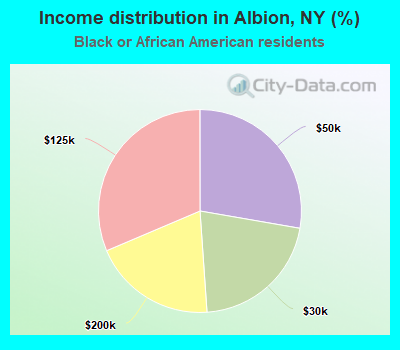 Income distribution in Albion, NY (%)