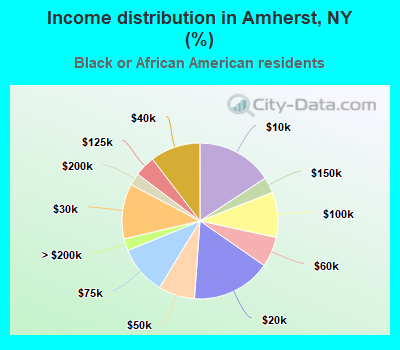 Income distribution in Amherst, NY (%)