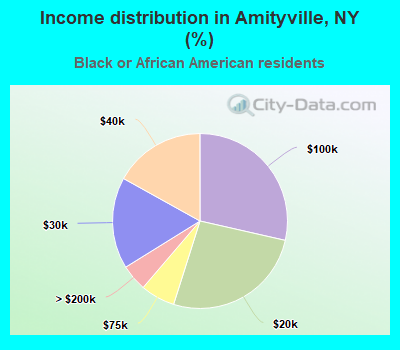Income distribution in Amityville, NY (%)