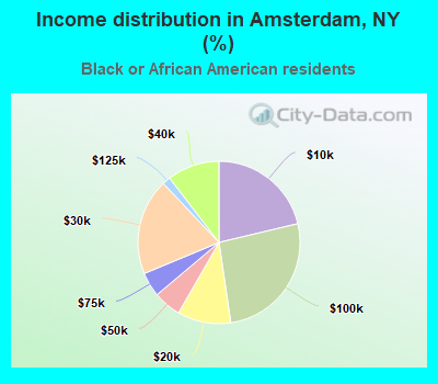Income distribution in Amsterdam, NY (%)