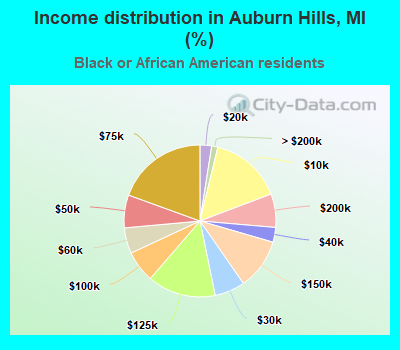 Income distribution in Auburn Hills, MI (%)