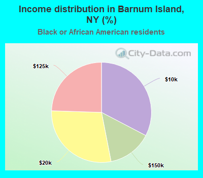 Income distribution in Barnum Island, NY (%)