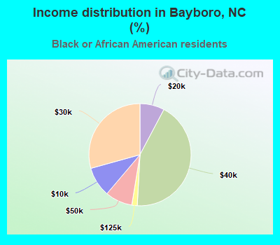 Income distribution in Bayboro, NC (%)