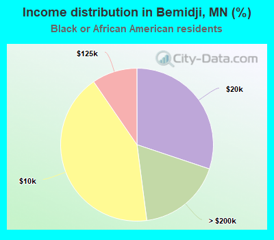 Income distribution in Bemidji, MN (%)