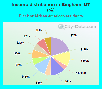 Income distribution in Bingham, UT (%)