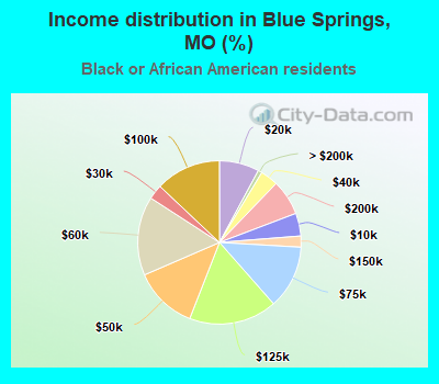 Income distribution in Blue Springs, MO (%)