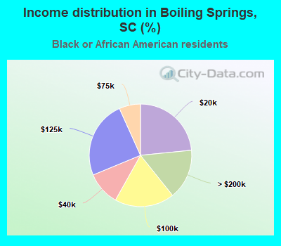 Income distribution in Boiling Springs, SC (%)