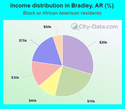 Income distribution in Bradley, AR (%)