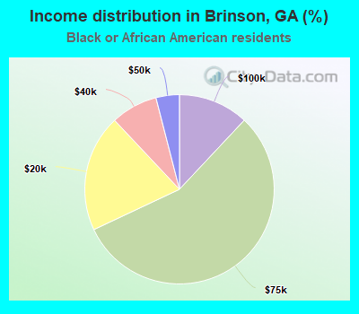 Income distribution in Brinson, GA (%)