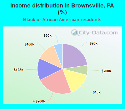 Income distribution in Brownsville, PA (%)