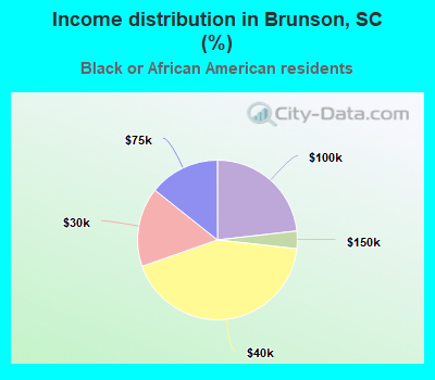 Income distribution in Brunson, SC (%)