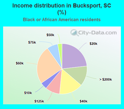 Income distribution in Bucksport, SC (%)