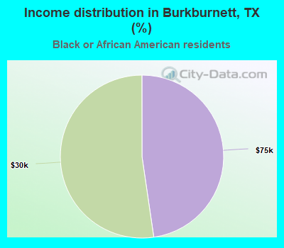 Income distribution in Burkburnett, TX (%)