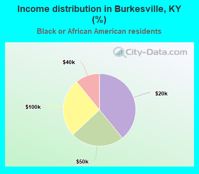 Income distribution in Burkesville, KY (%)