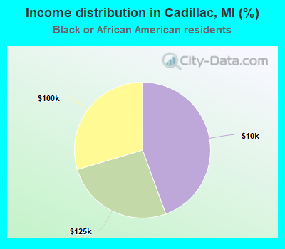 Income distribution in Cadillac, MI (%)