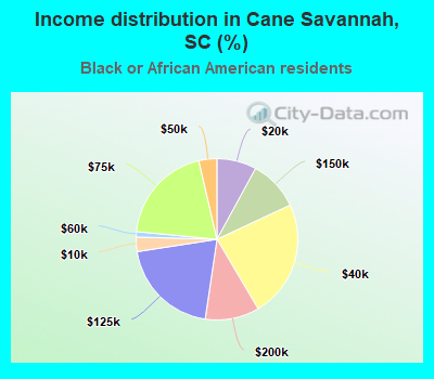 Income distribution in Cane Savannah, SC (%)