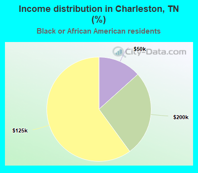 Income distribution in Charleston, TN (%)