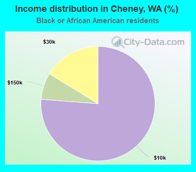 Income distribution in Cheney, WA (%)