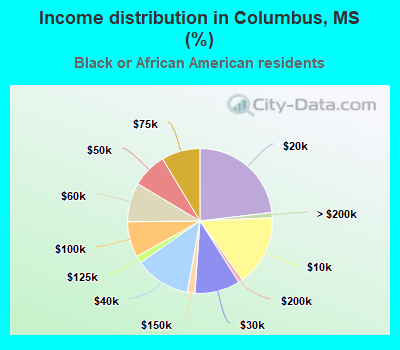 Income distribution in Columbus, MS (%)