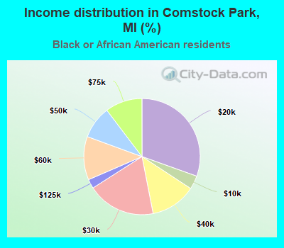 Income distribution in Comstock Park, MI (%)