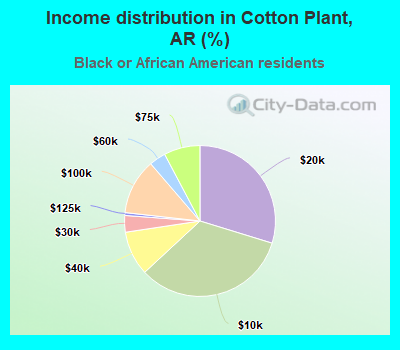 Income distribution in Cotton Plant, AR (%)