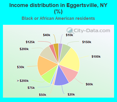 Income distribution in Eggertsville, NY (%)