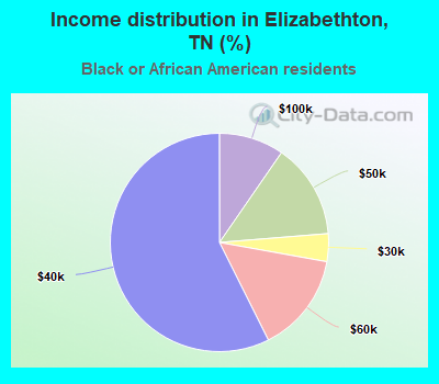 Income distribution in Elizabethton, TN (%)