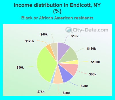 Income distribution in Endicott, NY (%)