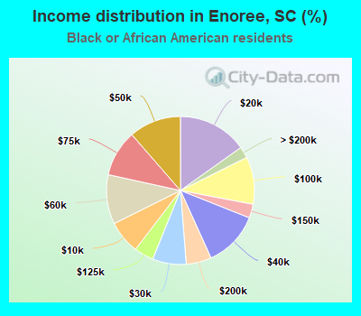 Income distribution in Enoree, SC (%)
