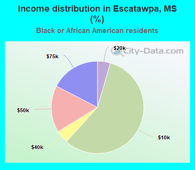 Income distribution in Escatawpa, MS (%)