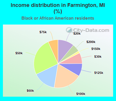 Income distribution in Farmington, MI (%)