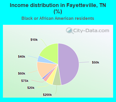 Income distribution in Fayetteville, TN (%)