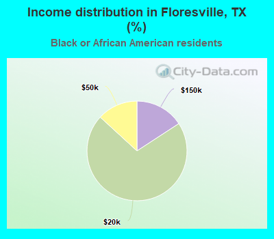 Income distribution in Floresville, TX (%)