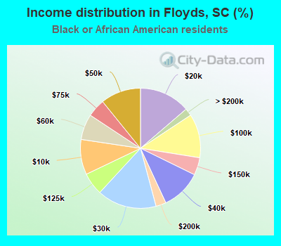 Income distribution in Floyds, SC (%)