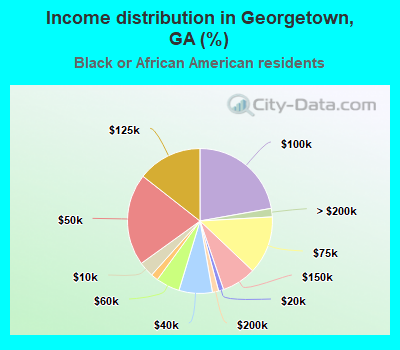 Income distribution in Georgetown, GA (%)